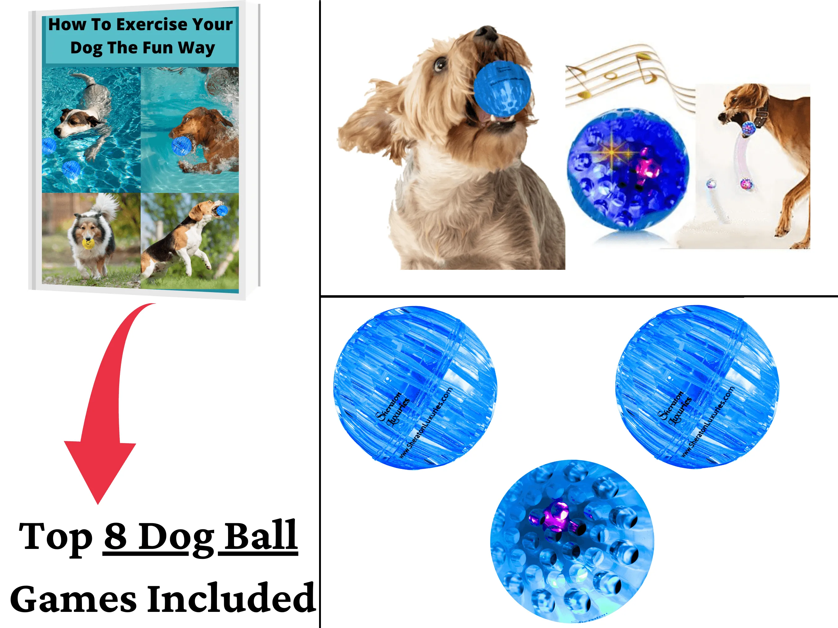 1 Dog Ball Toys Light Up Dog Toys-Sound Toys-Tough Bouncing Balls for Dogs, Pet Toys For Blind & Old Dogs