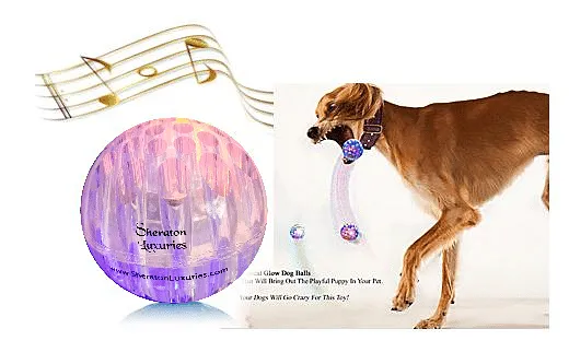 1 Dog Ball Toys Light Up Dog Toys-Sound Toys-Tough Bouncing Balls for Dogs, Pet Toys For Blind & Old Dogs