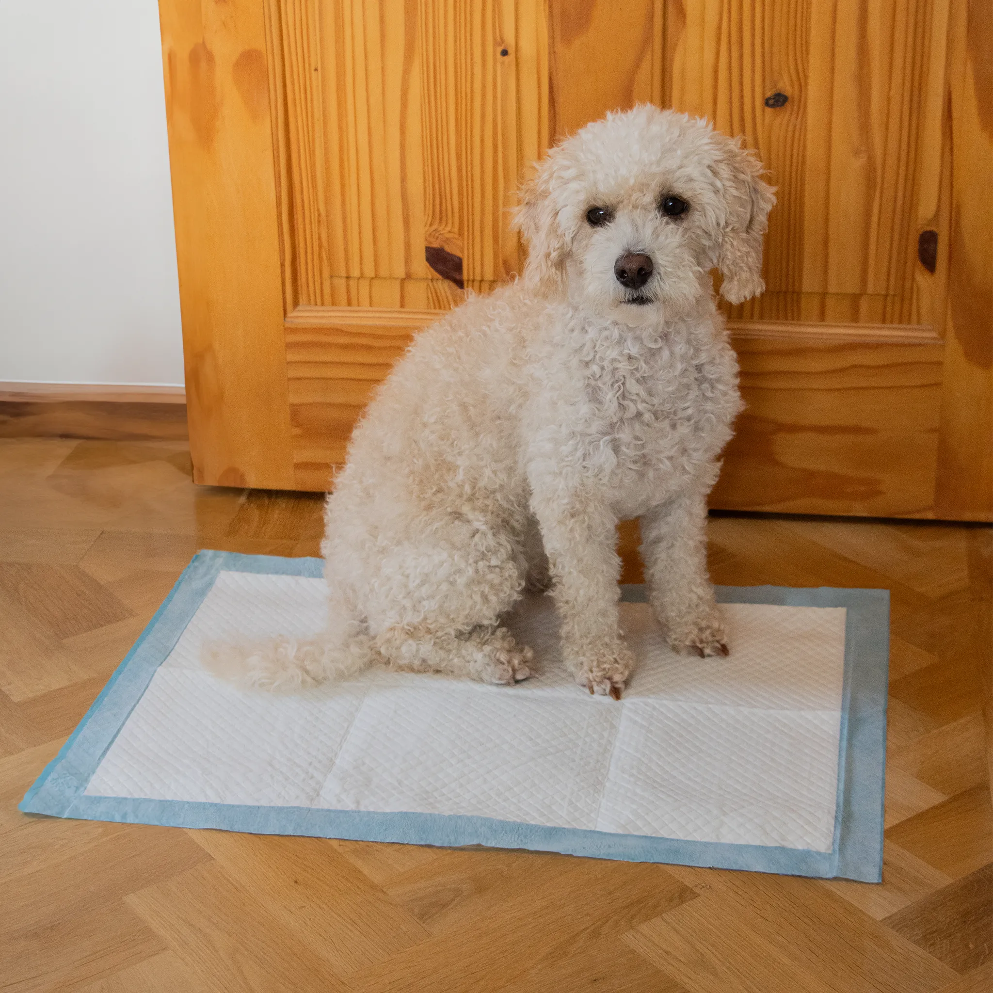 AllPetSolutions 25 x Medium Disposable Puppy Pads - 60 x 40cm