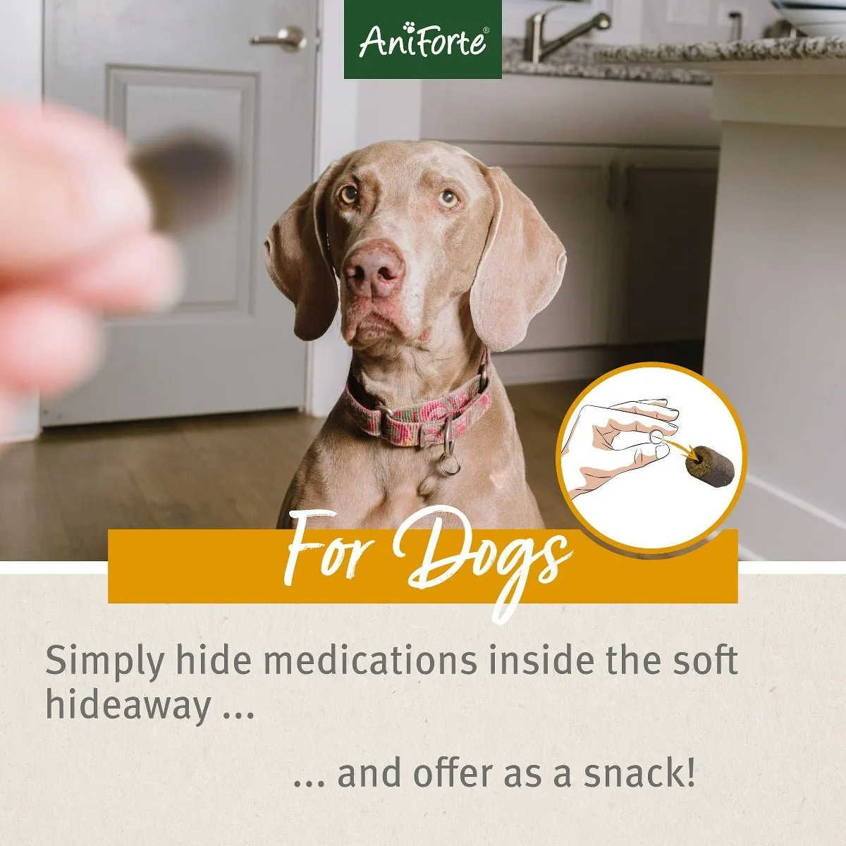 AniForte® Hideaway Snack