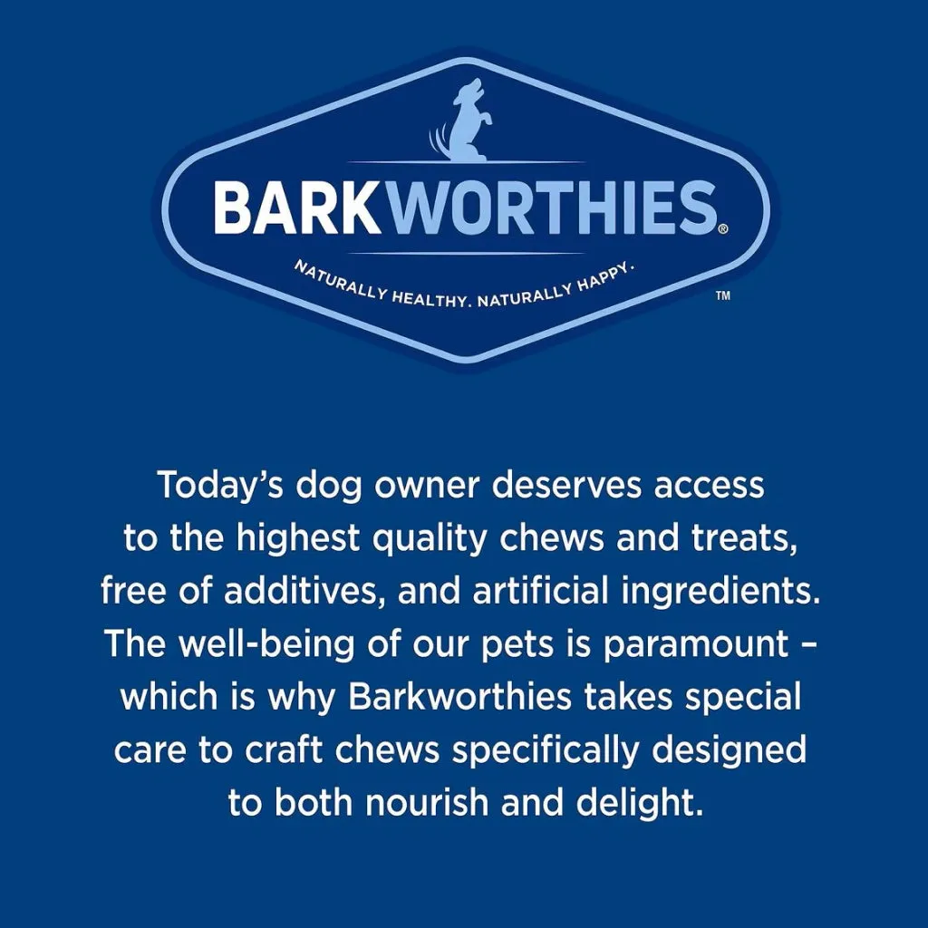 Barkworthies Small Beef Gullet Strip Treats For Dogs, 1ct
