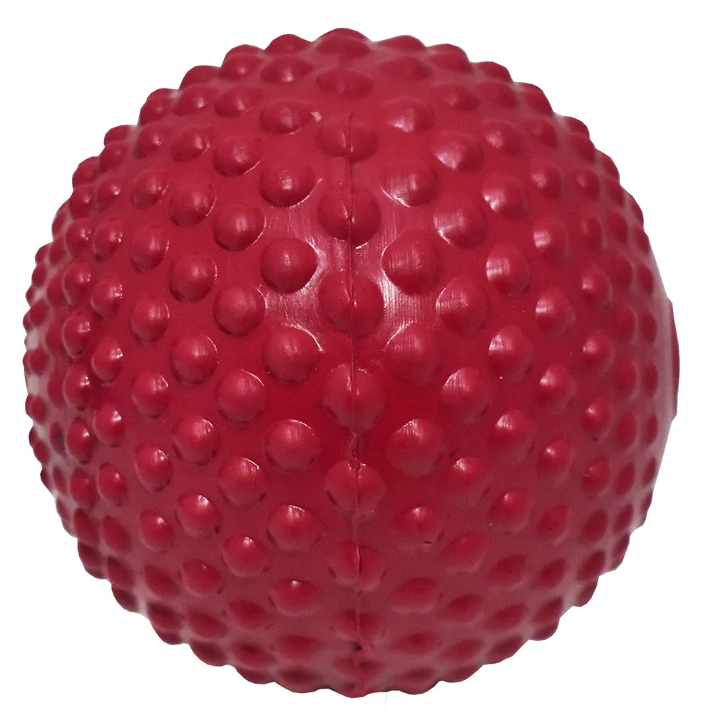 Best Dog Bumpy Ball