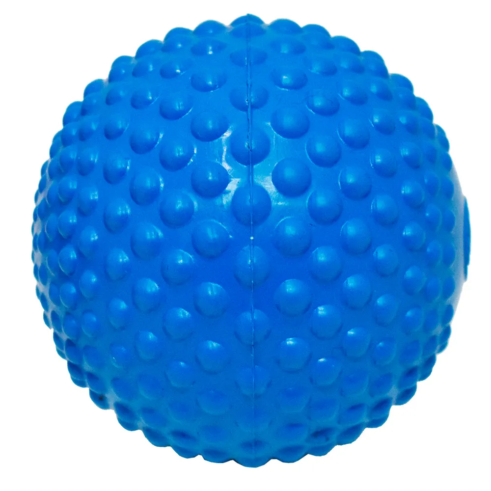 Best Dog Bumpy Ball