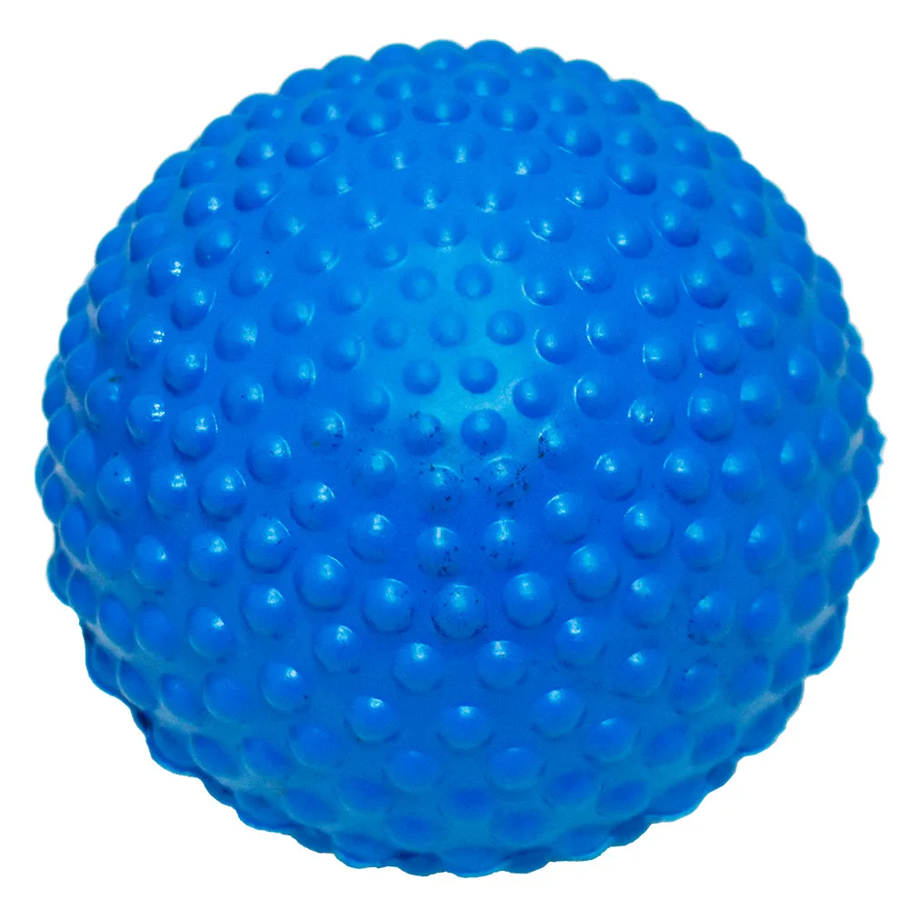 Best Dog Bumpy Ball