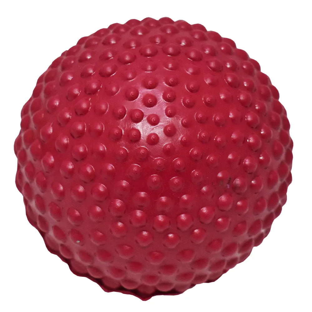 Best Dog Bumpy Ball