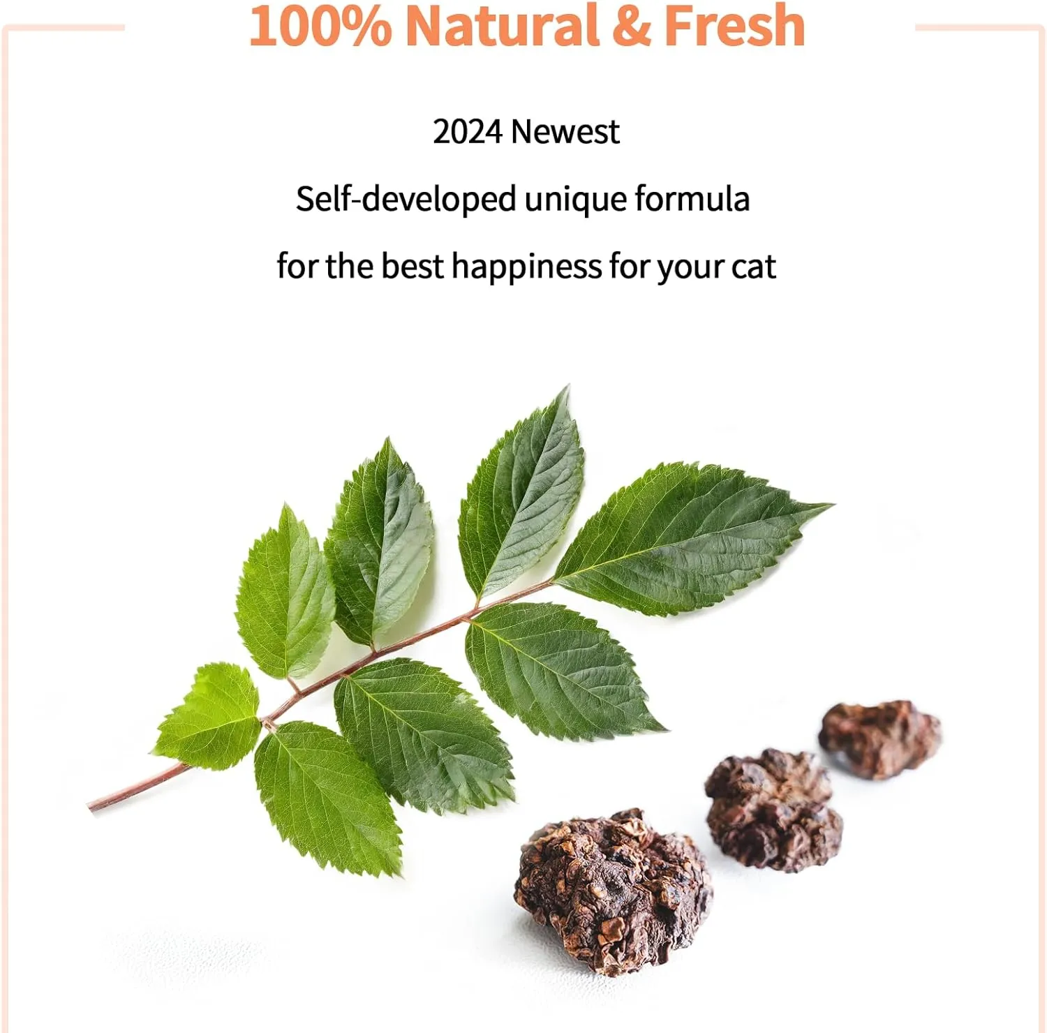 Cat Toys - Blend Silvervine Powder 45g with 5 Reusable Pouches, Catnip Alternative, 100% Natural Silver Vine Gall Fruit Powder & Silvervine Leaves, Suitable for All Cat Ages