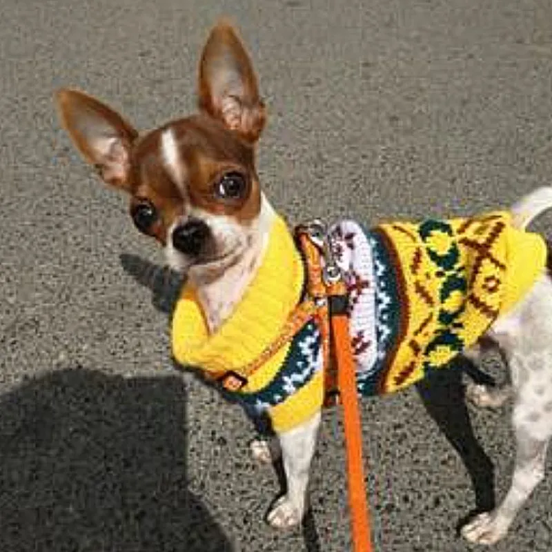 Classic Knit Dog Sweater