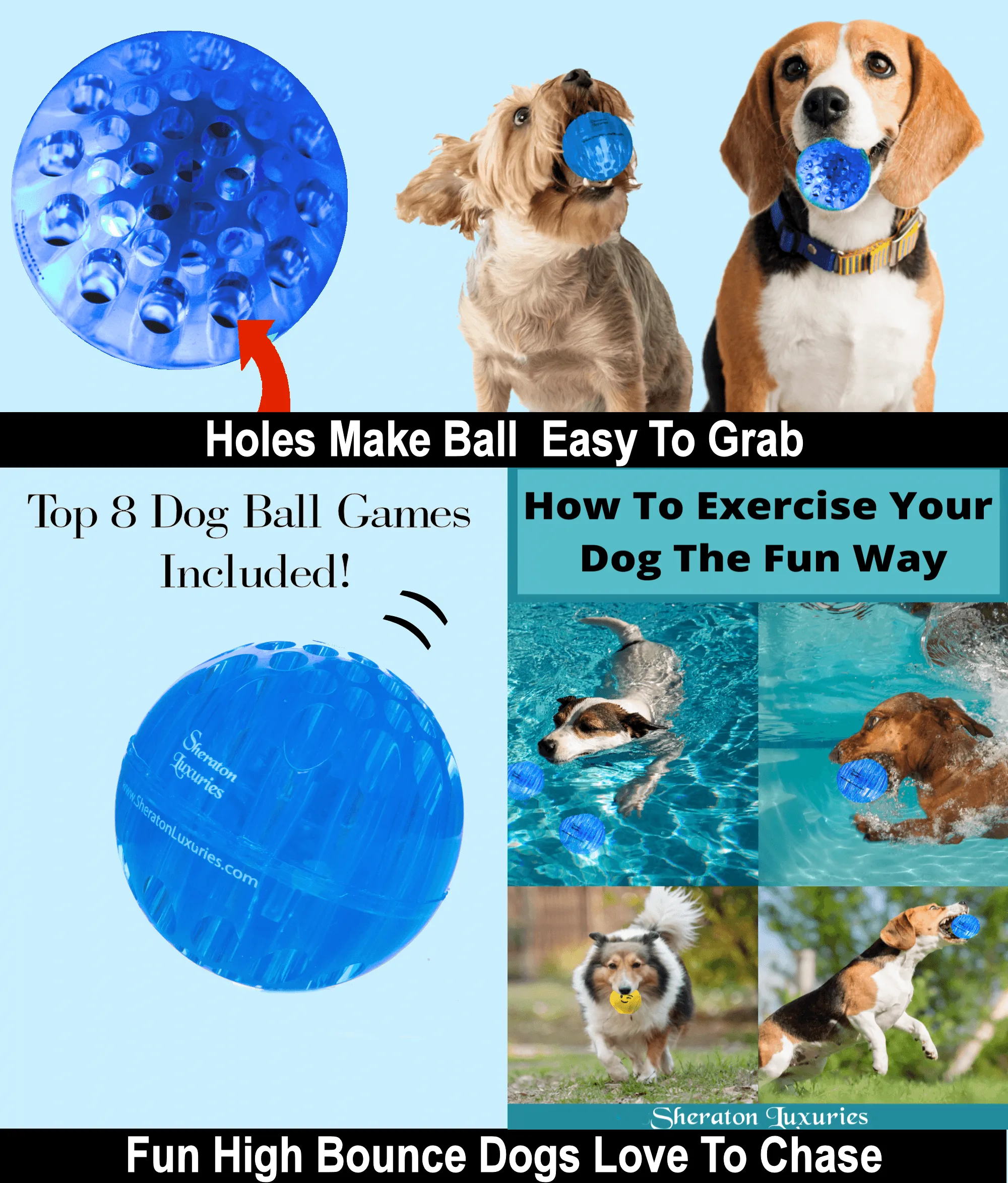 Dog Ball Toys-2.5 Inch Rubber Tough Dog Ball Toys-Bounce Balls Dogs Love To Chase & Grab