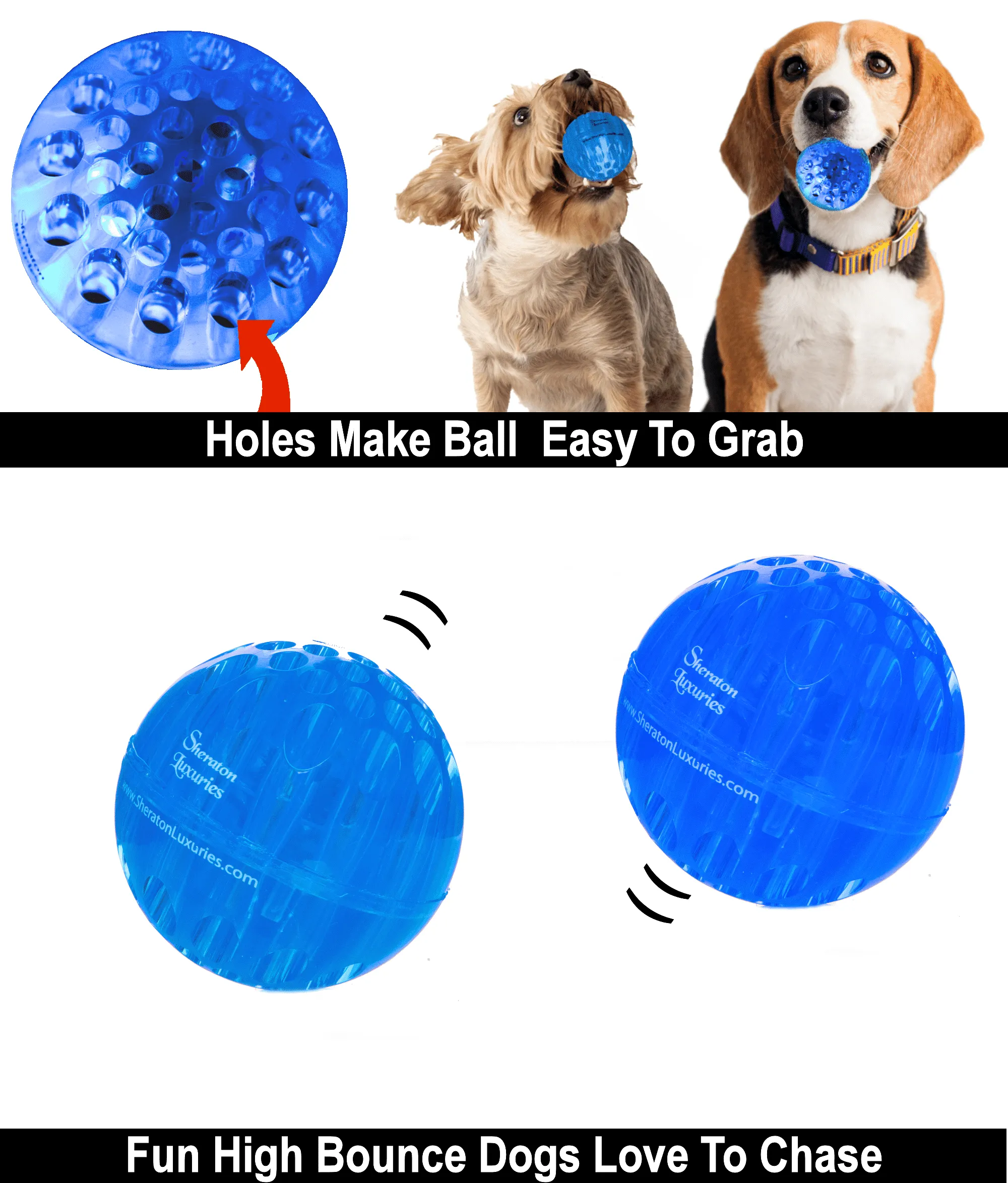 Dog Ball Toys-2.5 Inch Rubber Tough Dog Ball Toys-Bounce Balls Dogs Love To Chase & Grab