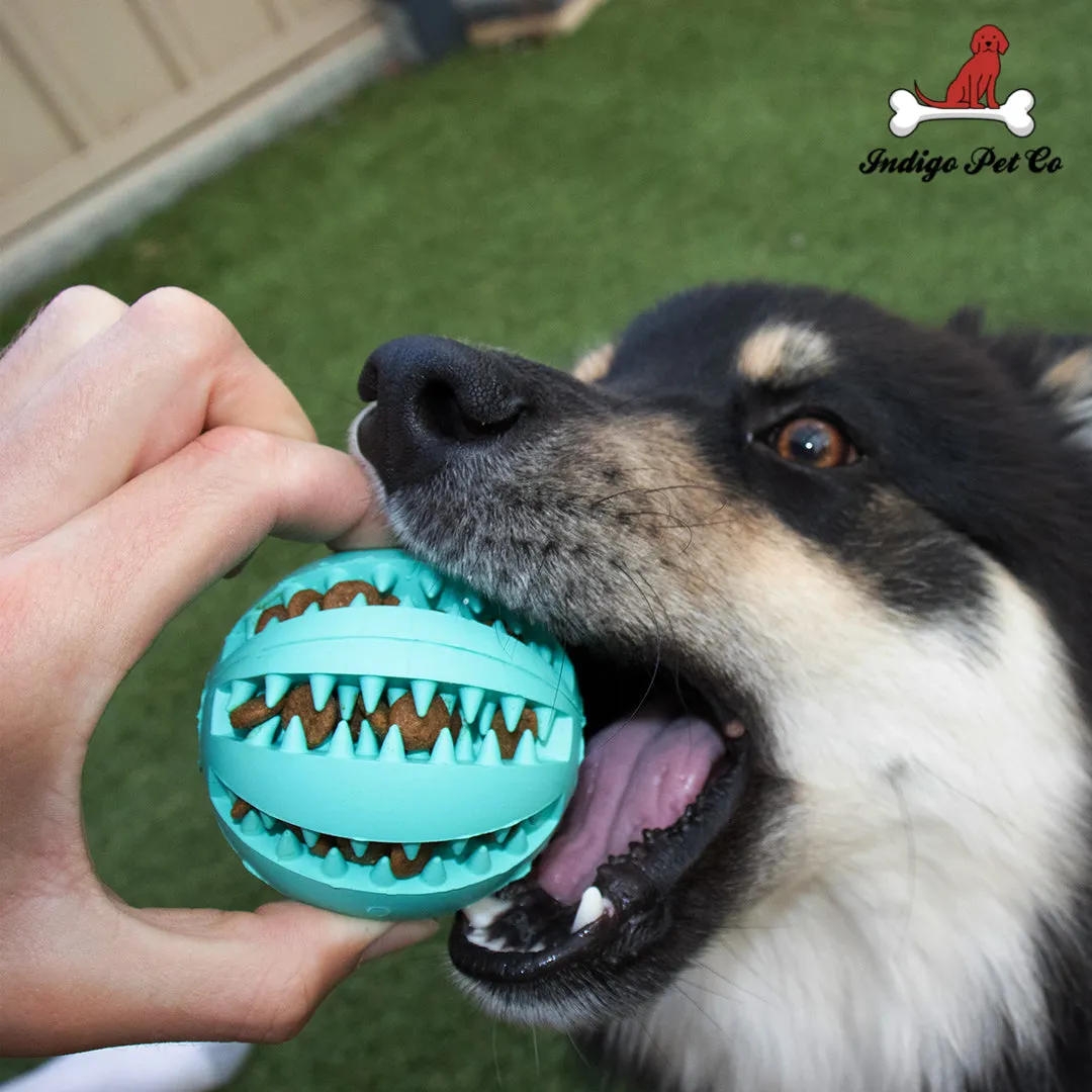 Dog IQ Puzzle Ball