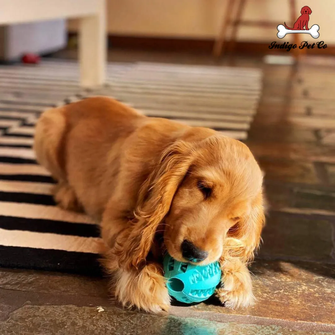 Dog IQ Puzzle Ball