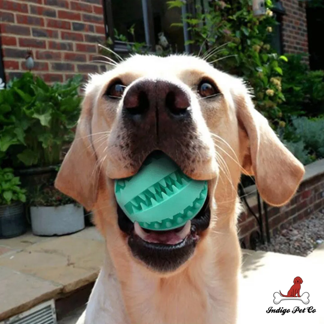 Dog IQ Puzzle Ball