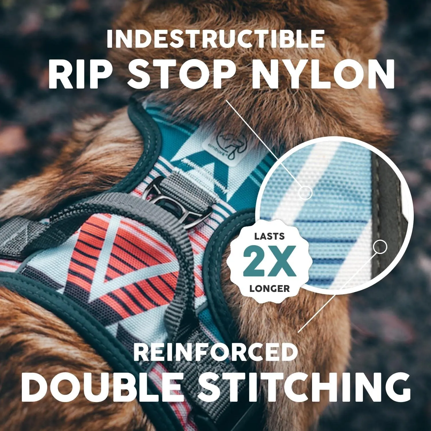 Embark Control Comfort Harness