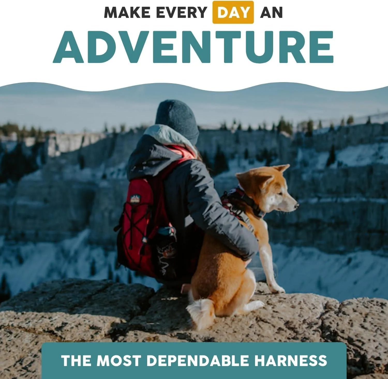 Embark Control Comfort Harness