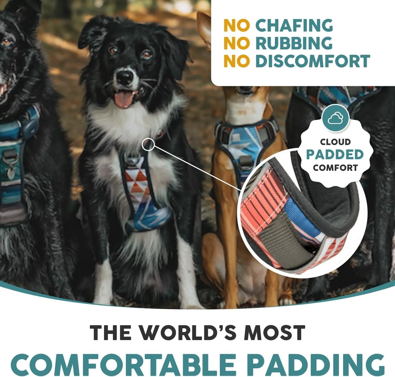 Embark Control Comfort Harness