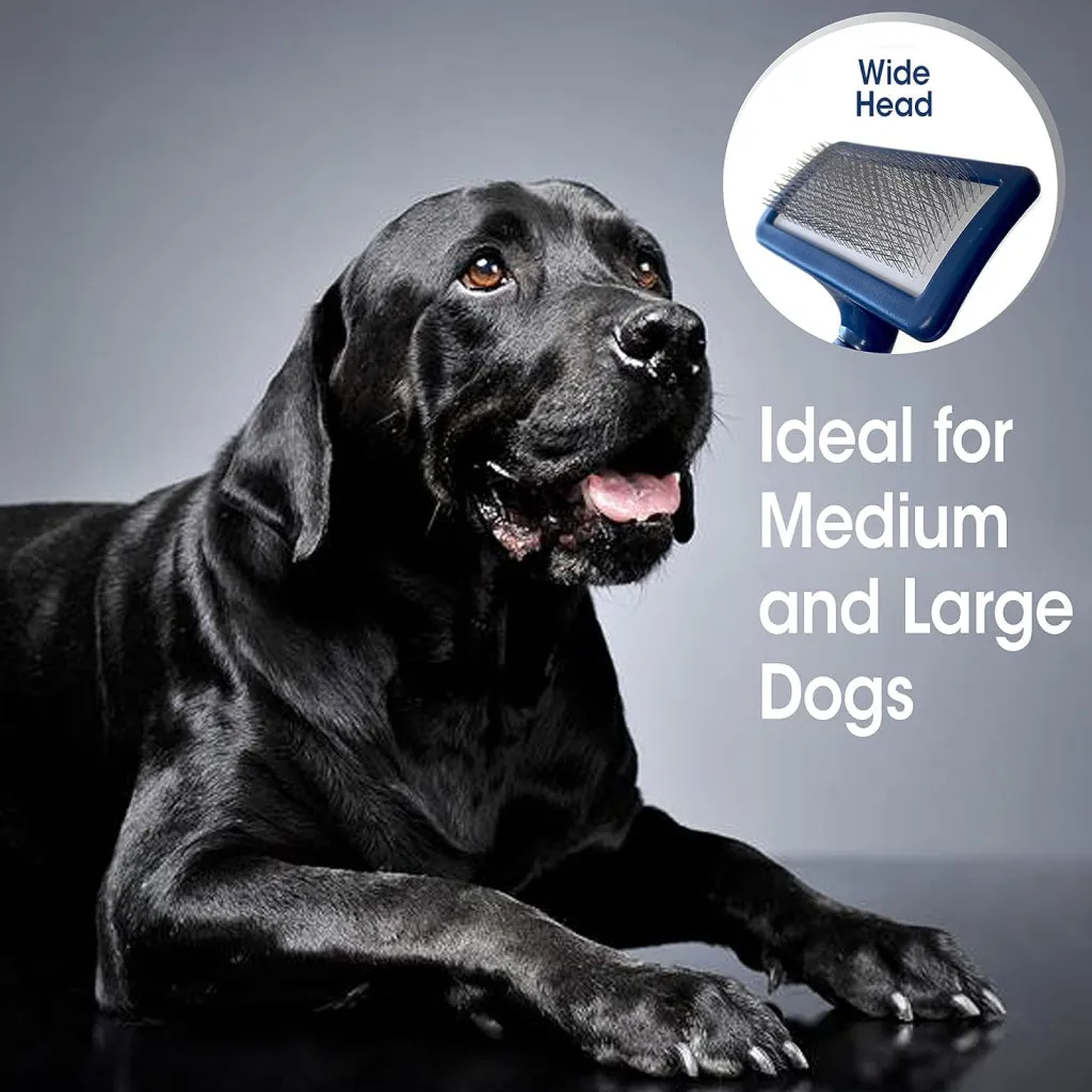 Four Paws Magic Coat Professional Series Slicker Brush for Dogs (Medium & Large )