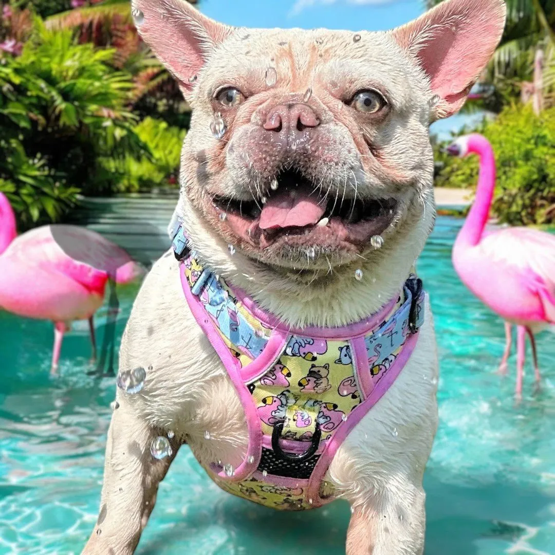 Frenchie Flamingo No Pull Dog Harness - CLEARANCE