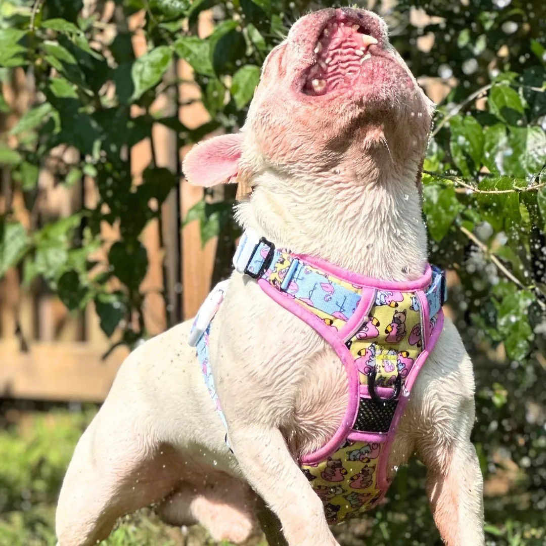 Frenchie Flamingo No Pull Dog Harness - CLEARANCE