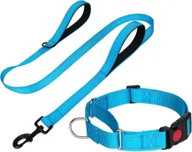 FunTags Reflective Martingale Collar for Dogs, Quick Release Buckle, 5FT Double Handle Dog Leash Padded, Dog Collar and Leash Set, Adjustable for Large Dogs (Sky Blue, L)
