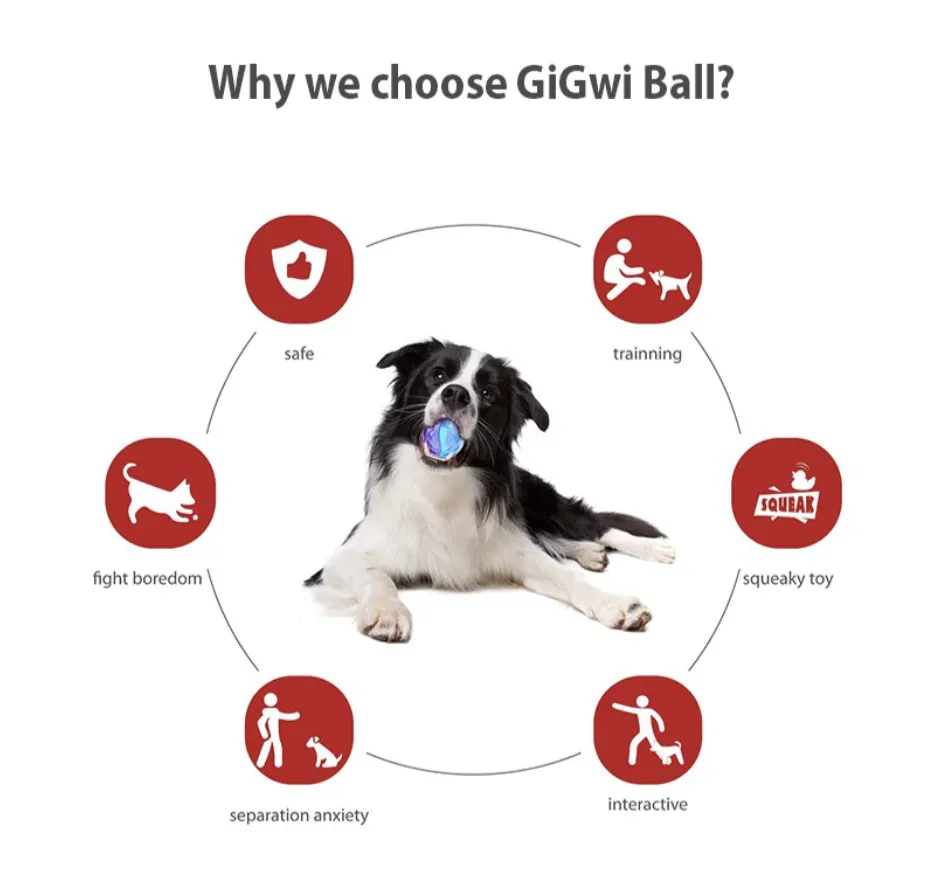 GiGwi Ball Series: Bouncy, Interactive, Durable Toy Dog Balls (Colour given at random unless indicated in remarks)