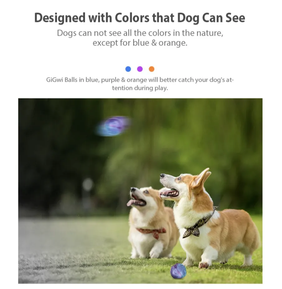 GiGwi Ball Series: Bouncy, Interactive, Durable Toy Dog Balls (Colour given at random unless indicated in remarks)