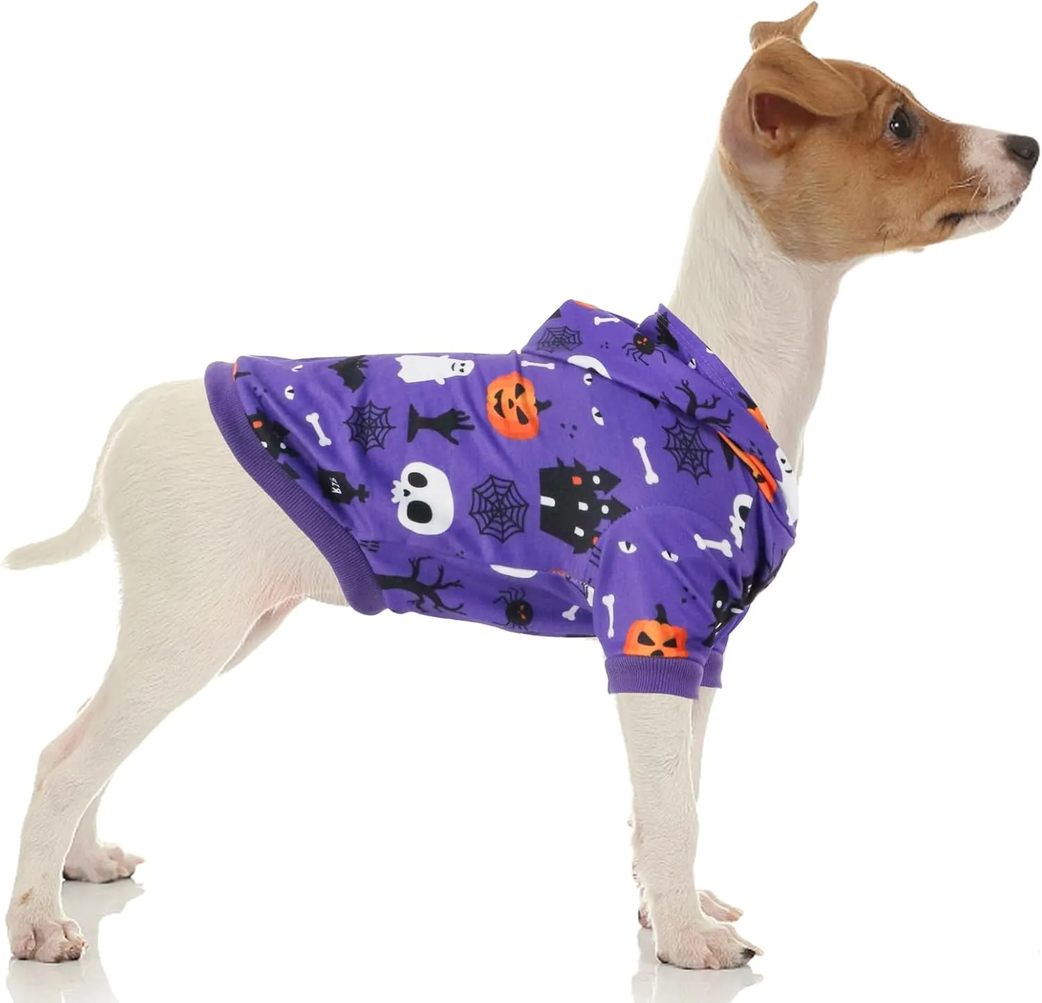 Halloween Dog Hoodies for Small Dogs: Puppy Ghost Bat Sweatshirt Winter Warm Pumpkin Costume Halloween Dog Hooded Clothes Pet Cat Holiday Apparel (Purple, S)