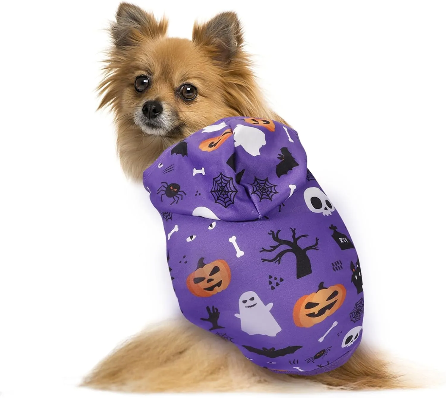 Halloween Dog Hoodies for Small Dogs: Puppy Ghost Bat Sweatshirt Winter Warm Pumpkin Costume Halloween Dog Hooded Clothes Pet Cat Holiday Apparel (Purple, S)
