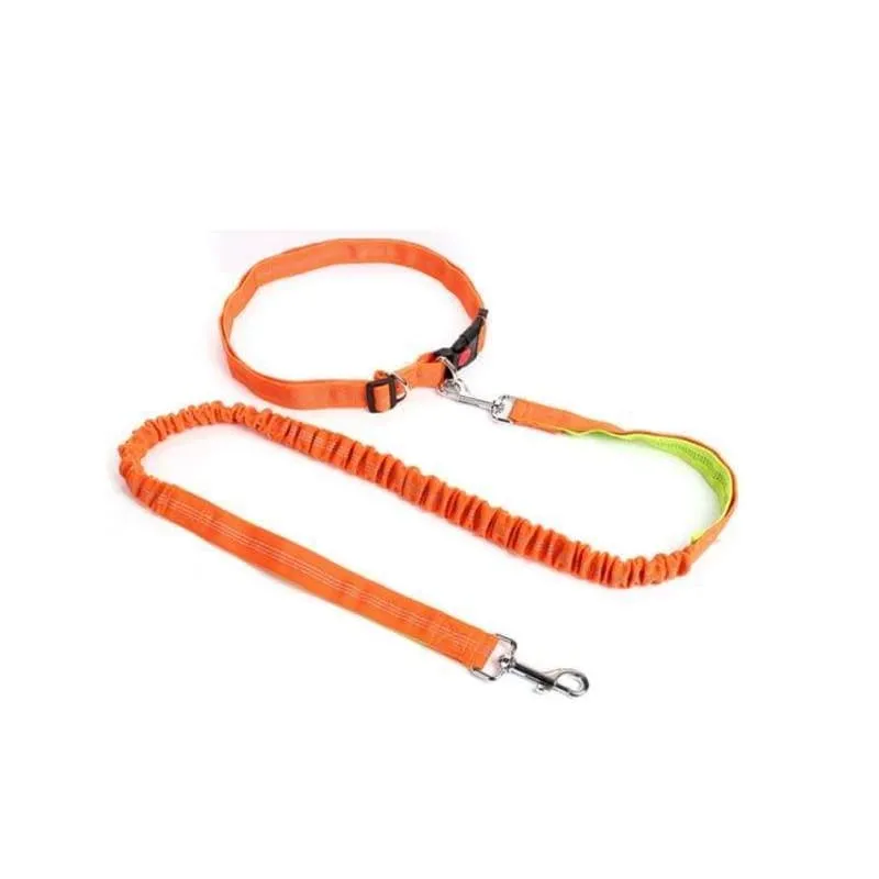 Hands-Free Retractable Leash