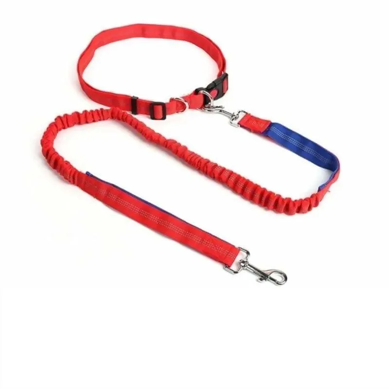 Hands-Free Retractable Leash