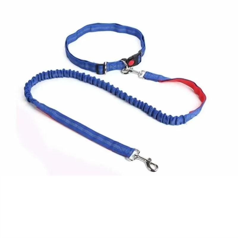 Hands-Free Retractable Leash