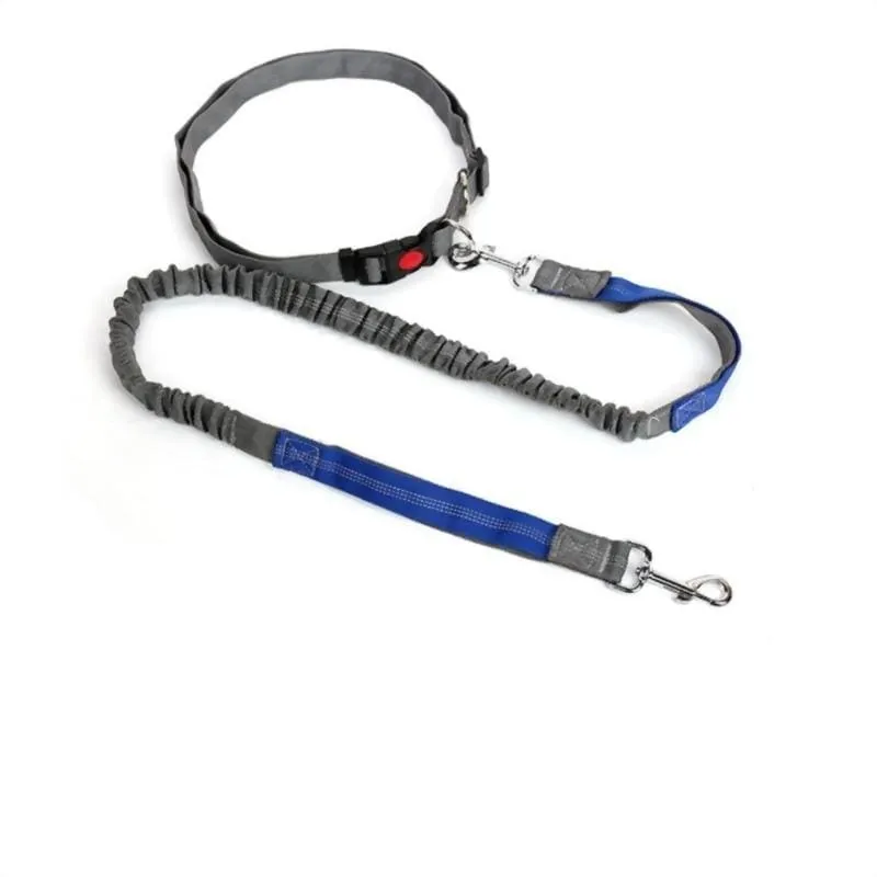 Hands-Free Retractable Leash