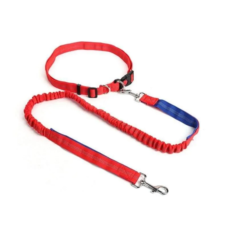 Hands-Free Retractable Leash