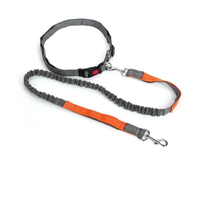 Hands-Free Retractable Leash