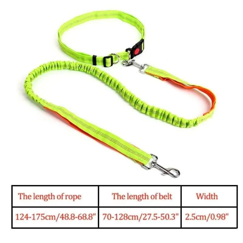 Hands-Free Retractable Leash
