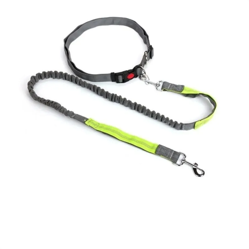 Hands-Free Retractable Leash
