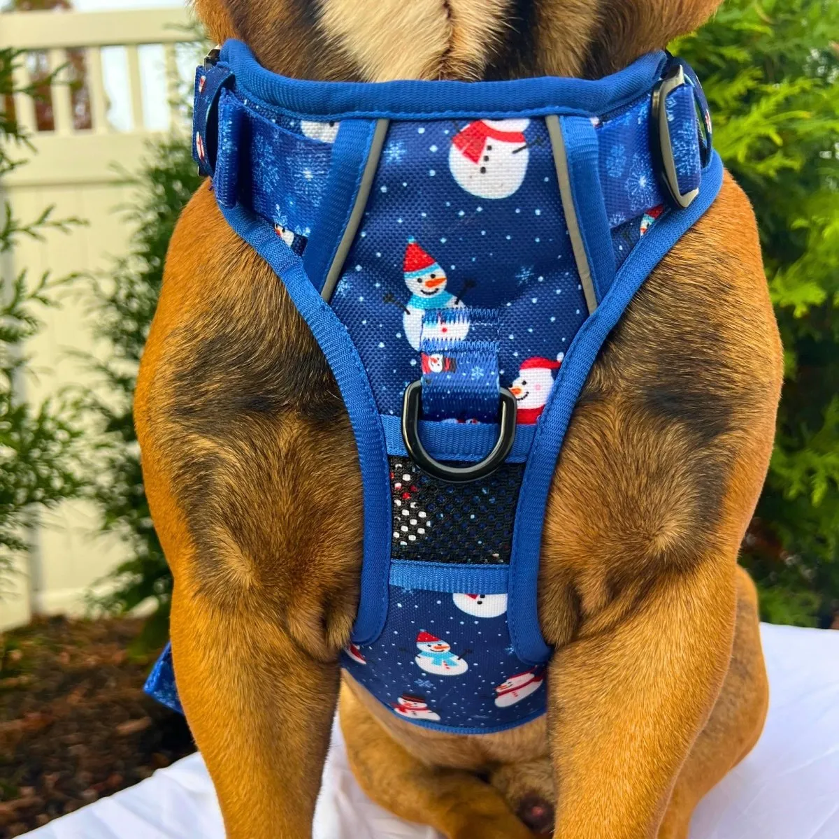 Let It Snow No Pull Harness Bundle