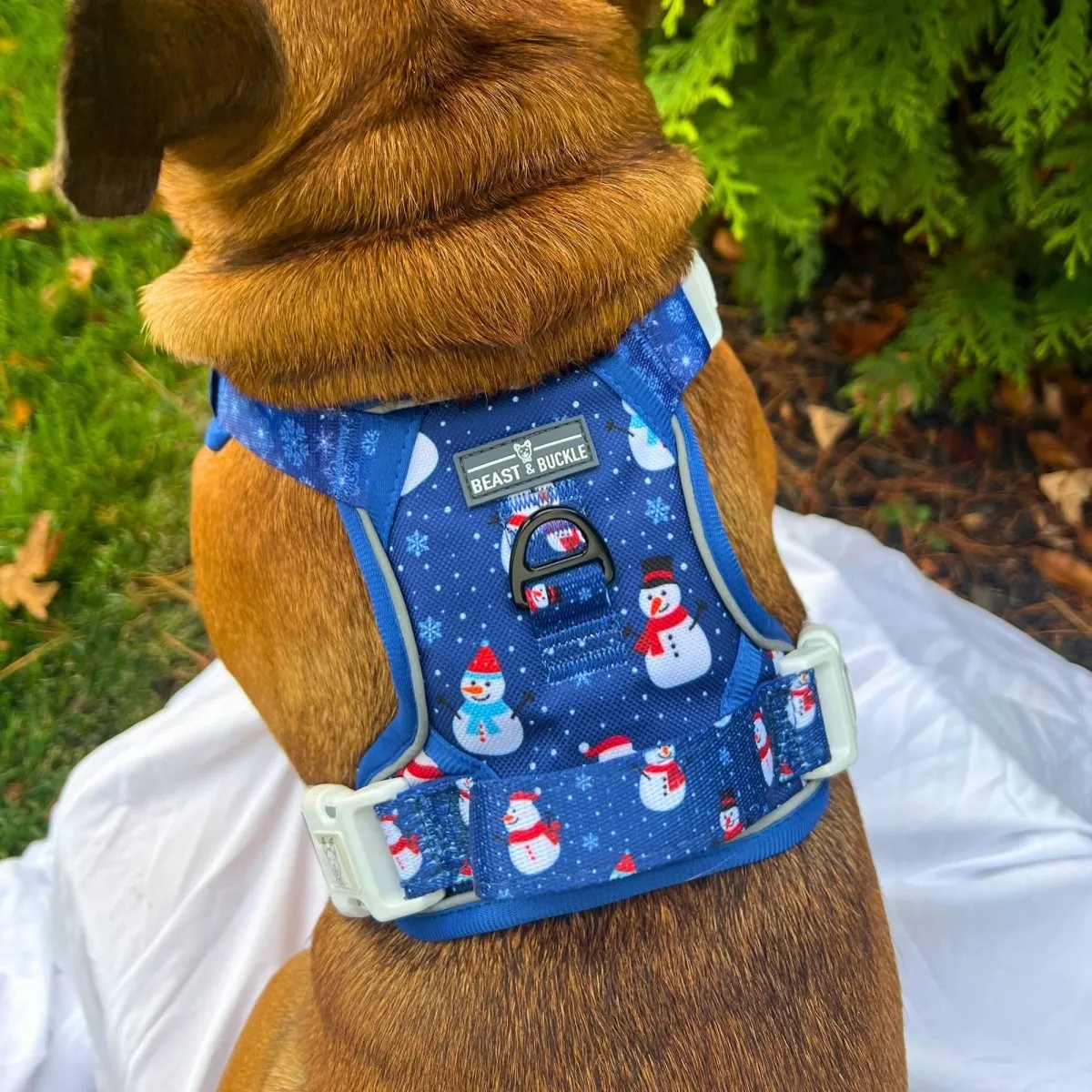 Let It Snow No Pull Harness Bundle