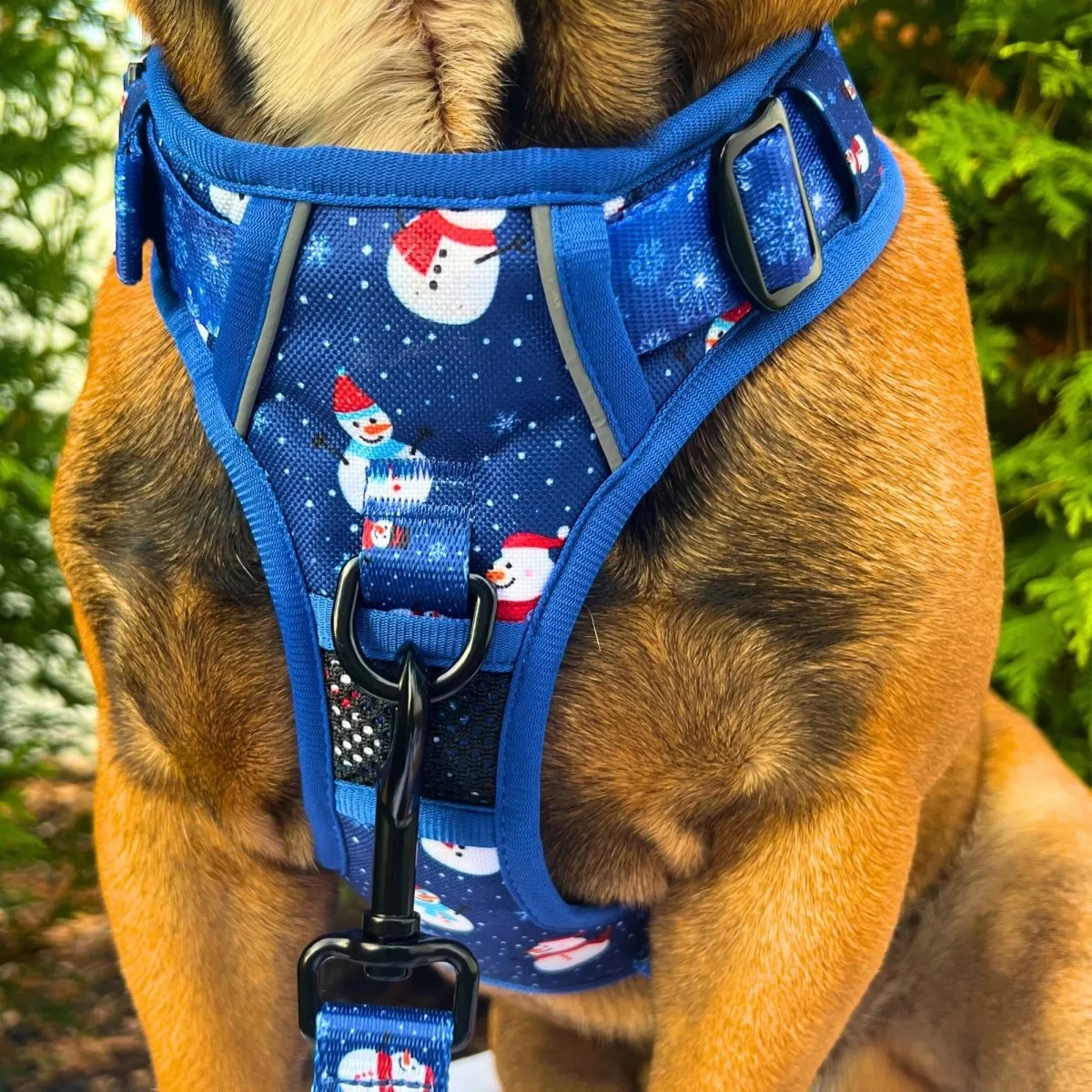 Let It Snow No Pull Harness Bundle
