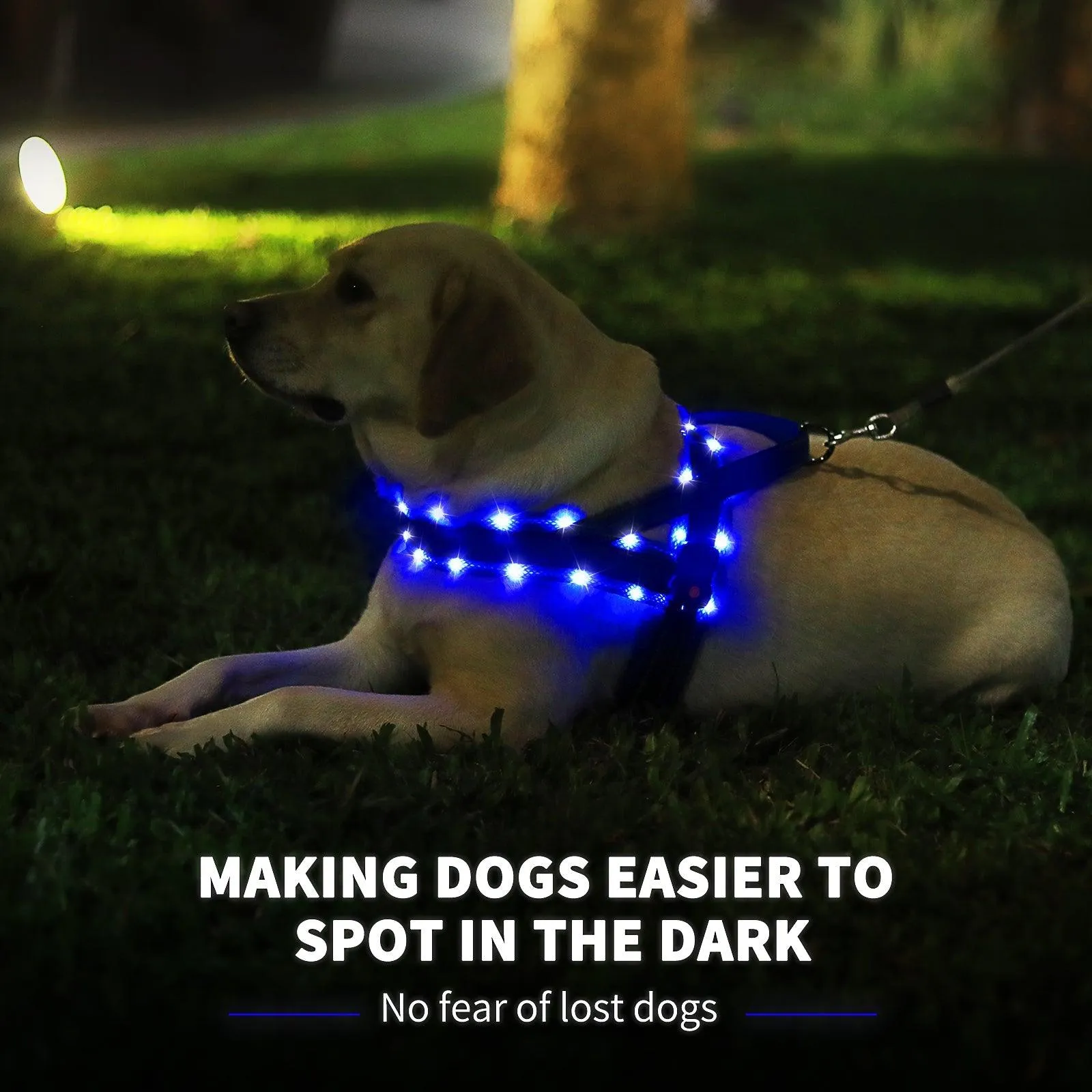 MASBRILL LED No Pull Dog Harnesses