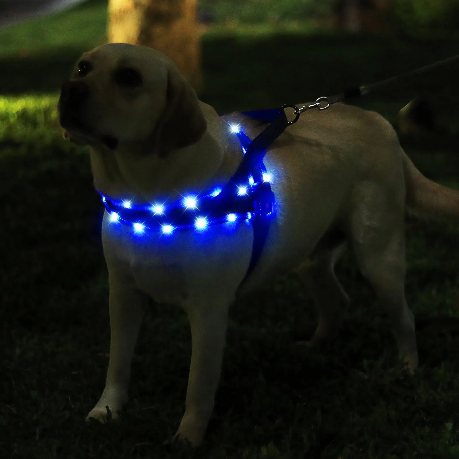 MASBRILL LED No Pull Dog Harnesses