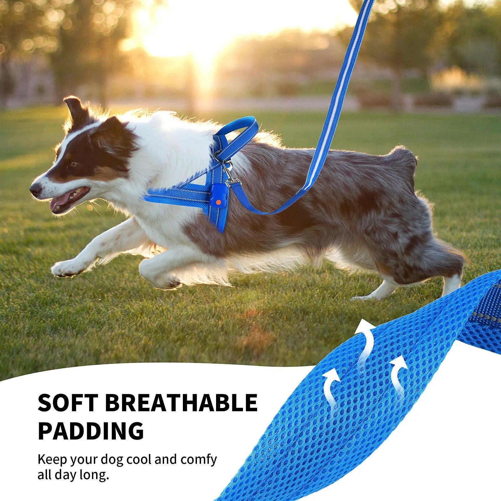 MASBRILL LED No Pull Dog Harnesses