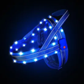 MASBRILL LED No Pull Dog Harnesses
