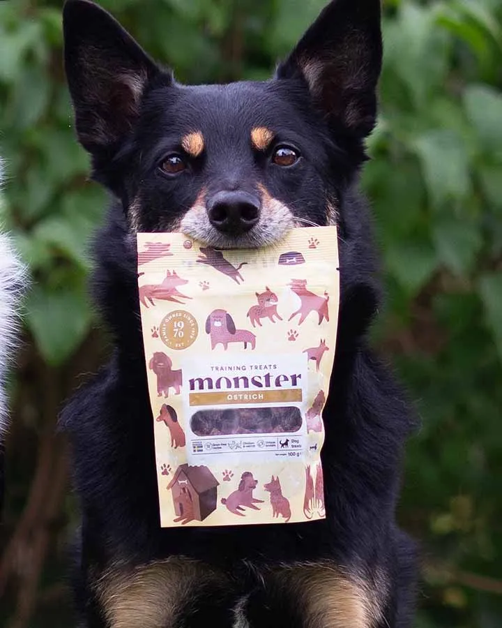 Monster Training Treats with Ostrich and Chicken - 100g