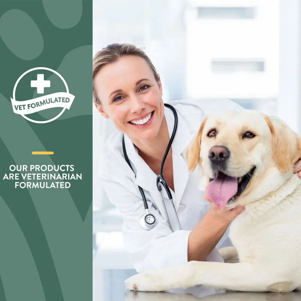 NaturVet Hemp Joint Health Plus Hemp Seed Soft Chews for Dogs, 60 count