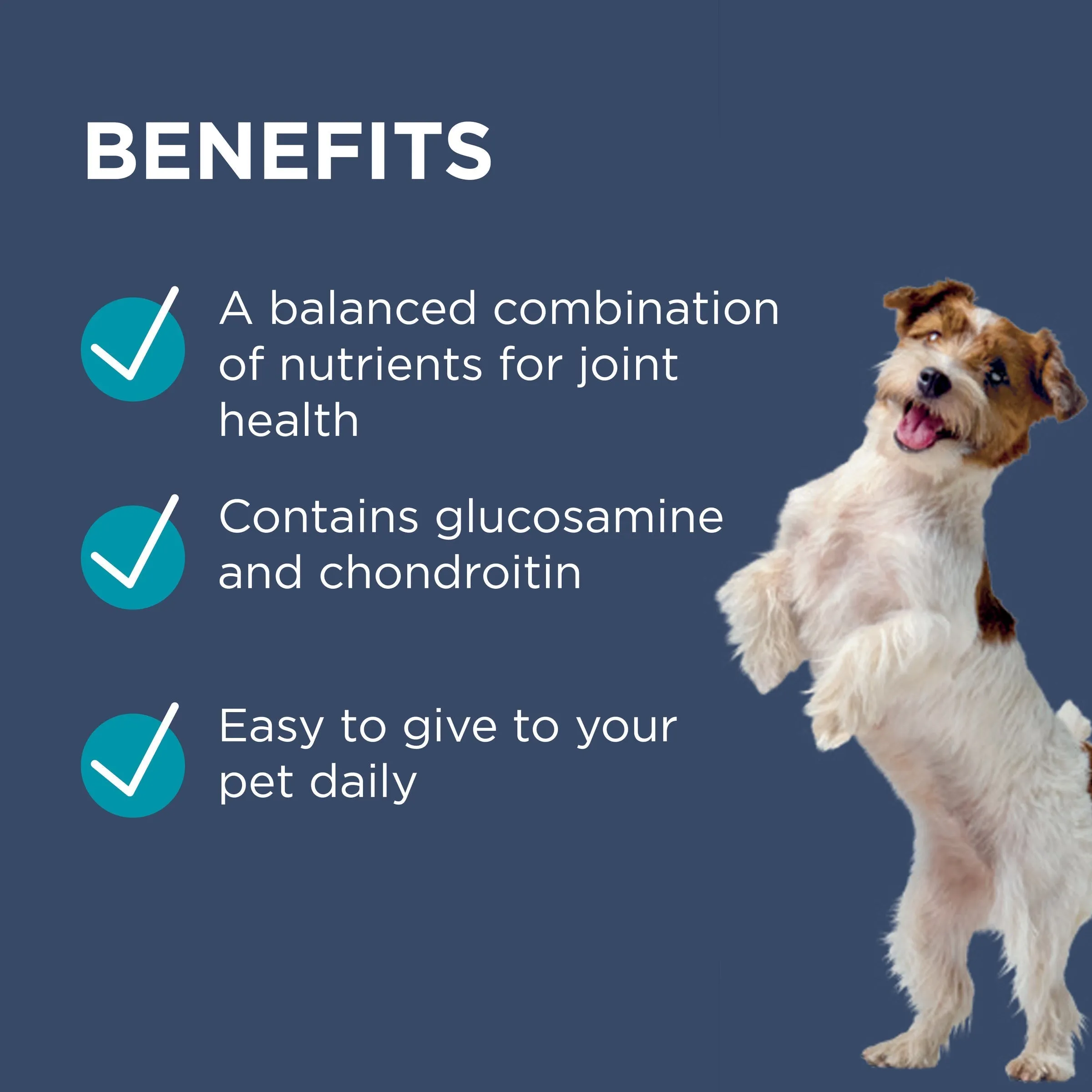 PAW by Blackmores Osteocare Joint Protect Small Chews for Dogs 75g^^^