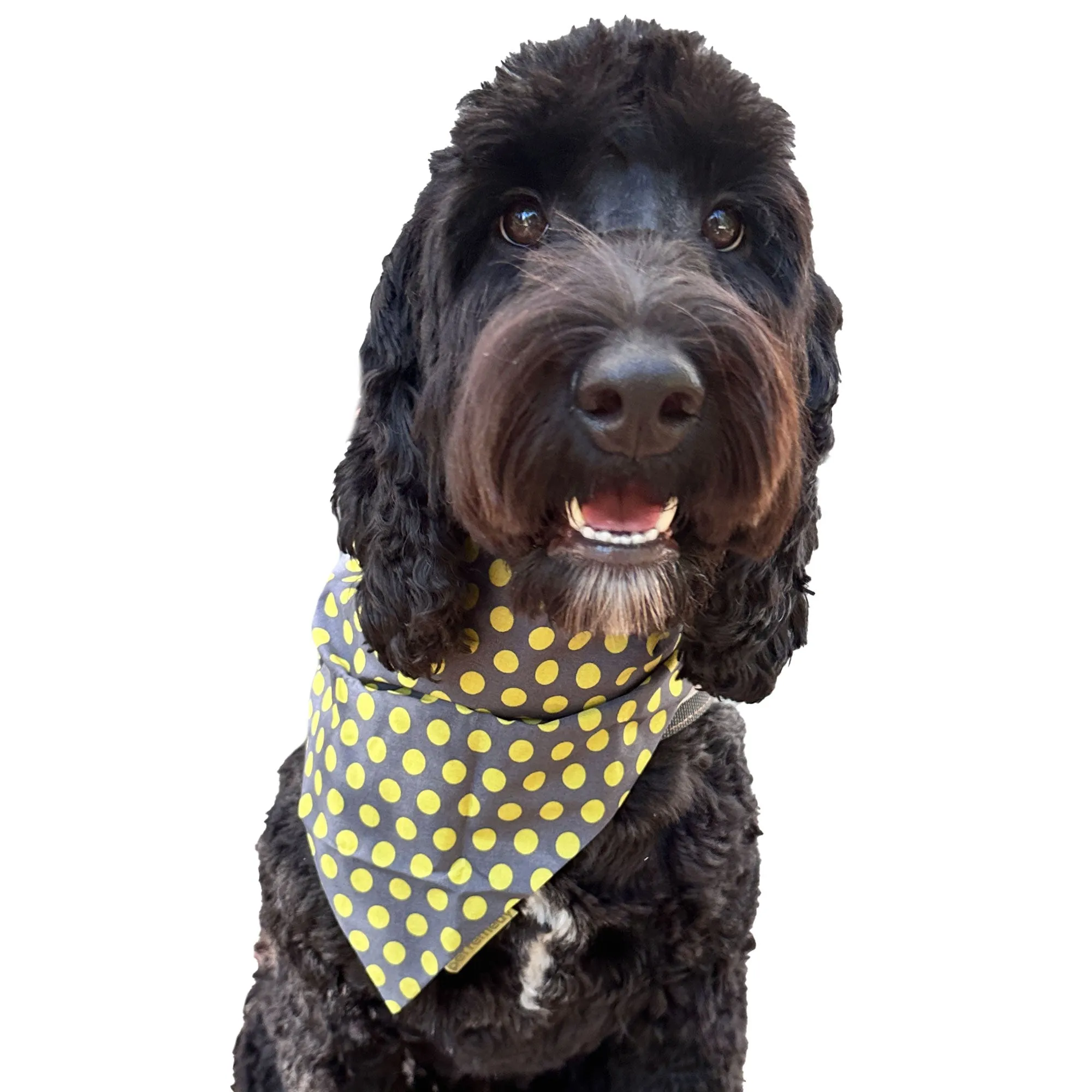 Pet Relax Luxury Reversible Bandana Kit