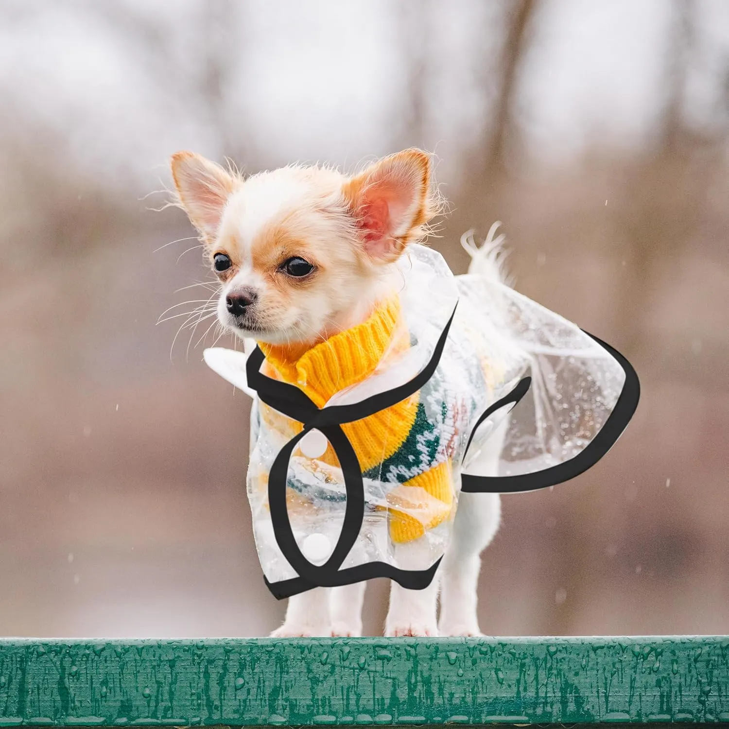 Puppy Raincoat for Small Dogs Black Edge Transparency Pet Raincoat Waterproof Cloak Pet Hooded Raincoat Jacket,Size Medium
