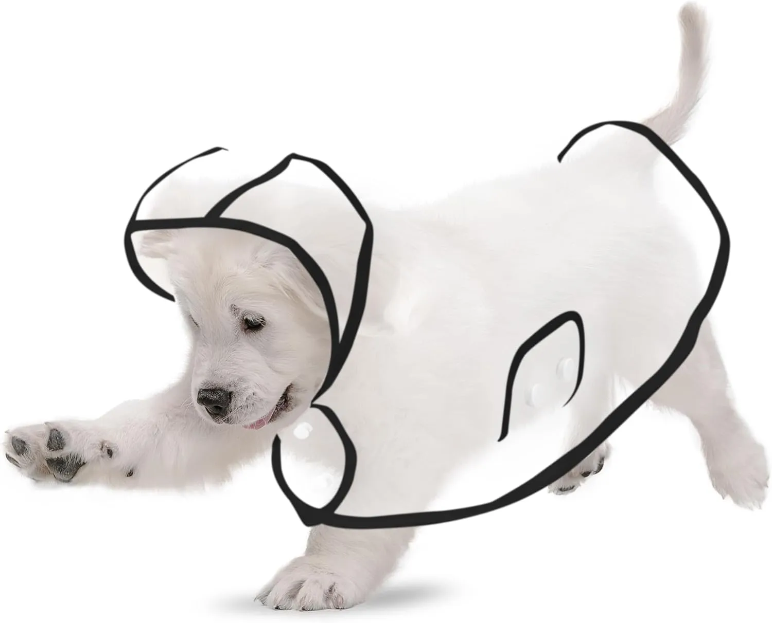 Puppy Raincoat for Small Dogs Black Edge Transparency Pet Raincoat Waterproof Cloak Pet Hooded Raincoat Jacket,Size Medium