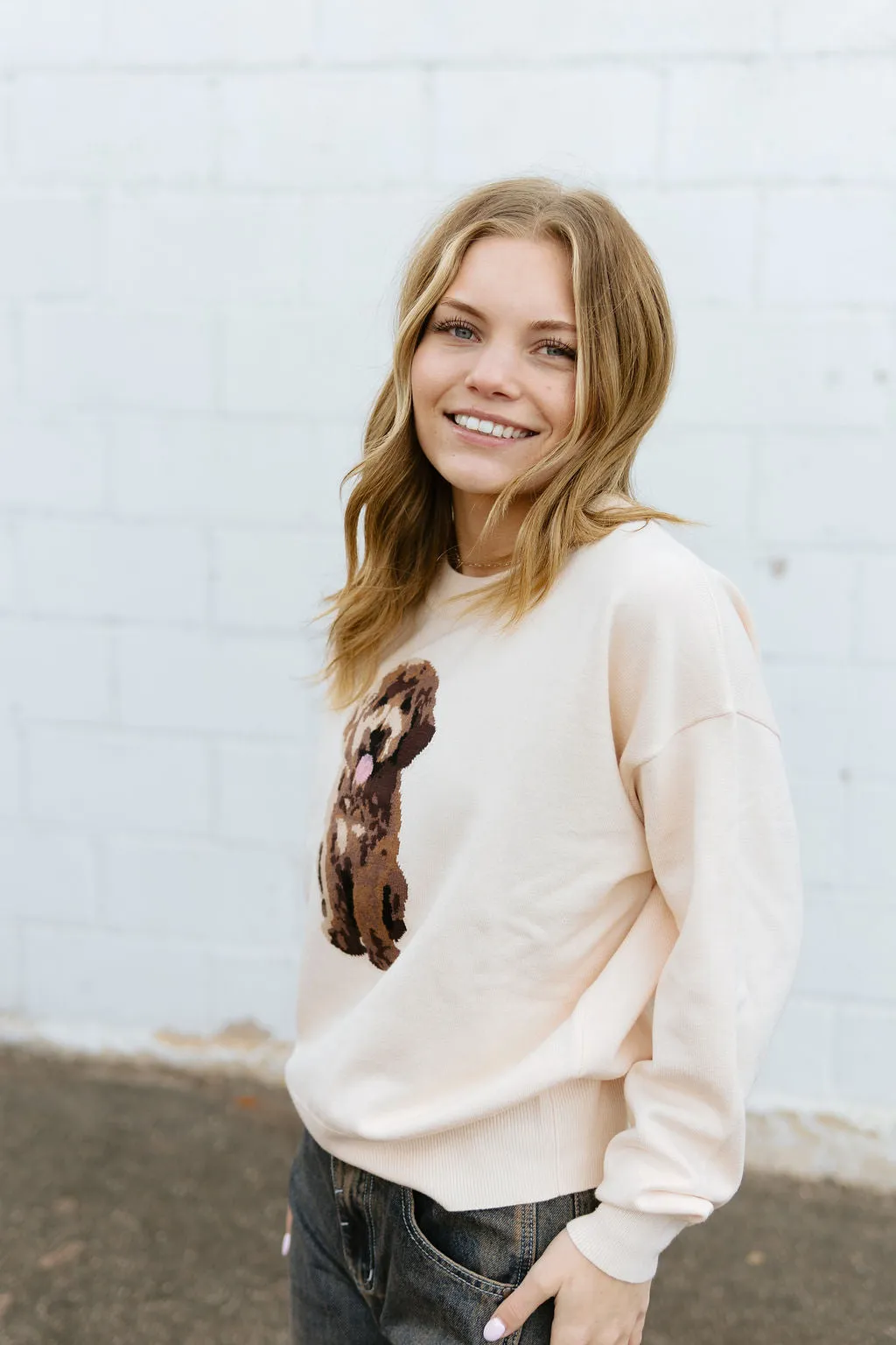 Puppy Sweater