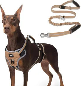 PUPTECK Escape Proof Dog Harness and Heavy Duty Bungee Dog Leash Set for Medium Large Dogs